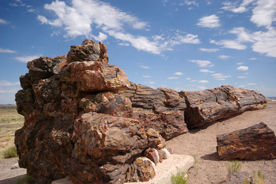 Petrified Forest National Monument - JeffRandleman.com