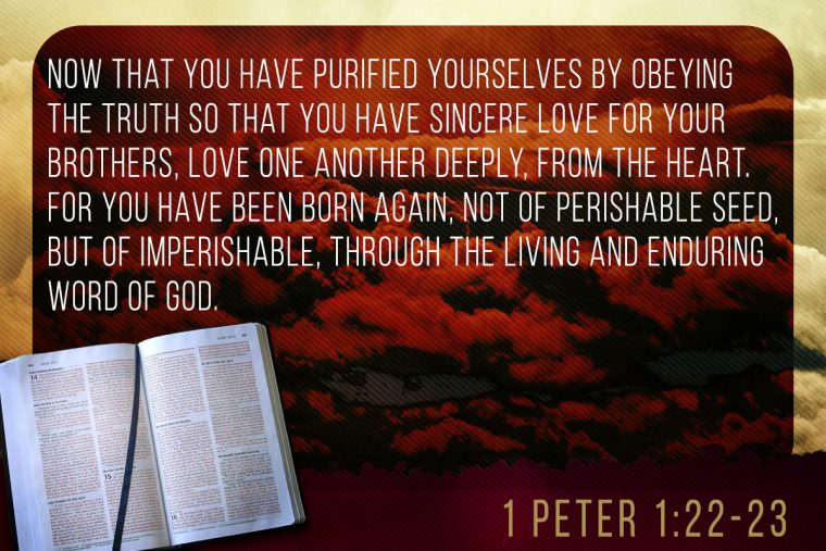 Memorize Scripture 1 Peter 122 23 Jeffrandlemancom