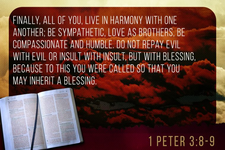 Memorize Scripture 1 Peter 38 9 Jeffrandlemancom